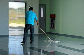 Cleaners Cressington: Domestic cleaning