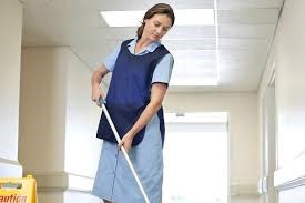 Cleaners Cressington: Domestic cleaning