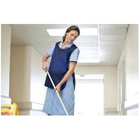 Cleaners Cressington: Domestic cleaning